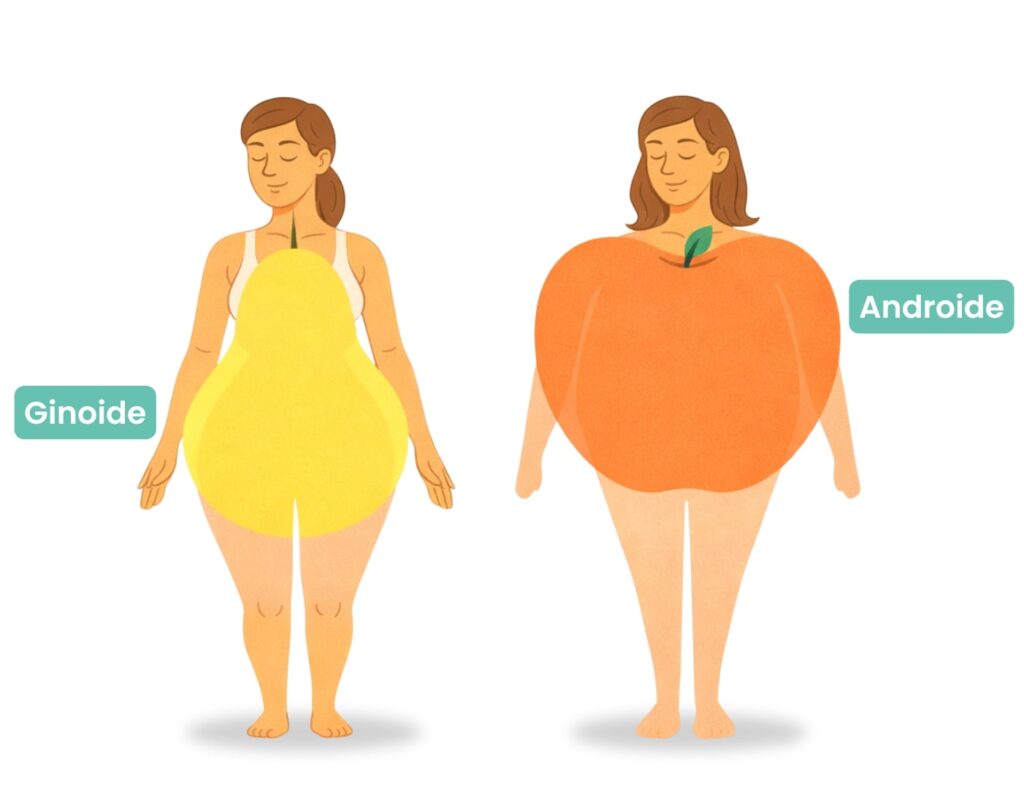 biotipo androide e ginoide