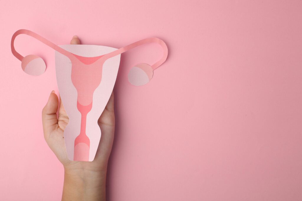 schema apparato riproduttivo femminile